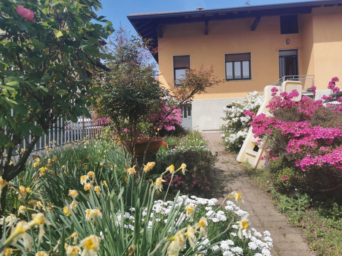 Grandma's garden house Villa Angera Exteriör bild