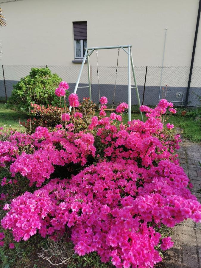 Grandma's garden house Villa Angera Exteriör bild